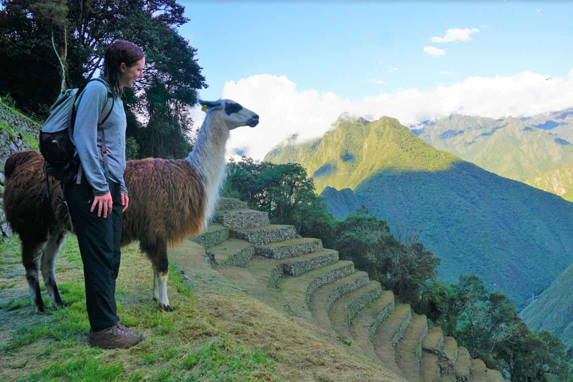 Machu Picchu 4 0