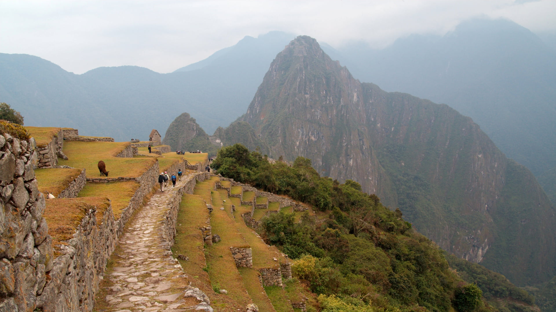 Exploring The Terraces Of Machu Picchu A Natural And Historical Marvel 0